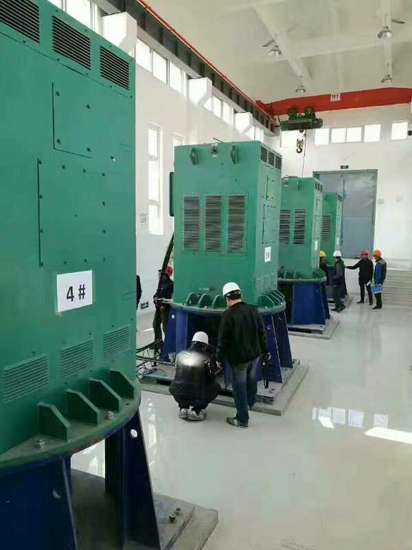 新昌某污水处理厂使用我厂的立式高压电机安装现场