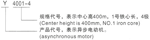 西安泰富西玛Y系列(H355-1000)高压新昌三相异步电机型号说明